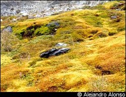 Turbal en Tierra Mayor
